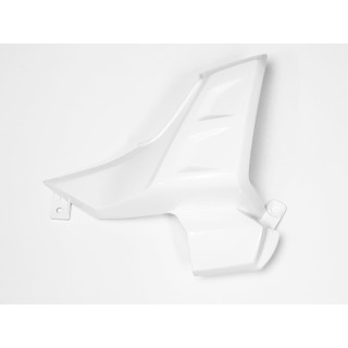 Air induction cover, left, whi