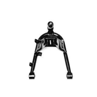 ARM SET, LOWER, RH