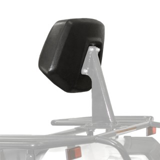 BACKREST