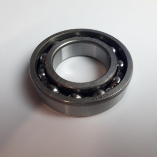 BEAR 6006