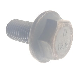 Bolt
