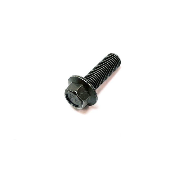 Bolt M10×1.25×30