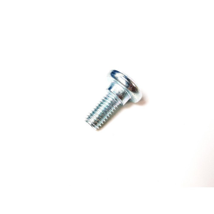 BOLT M6