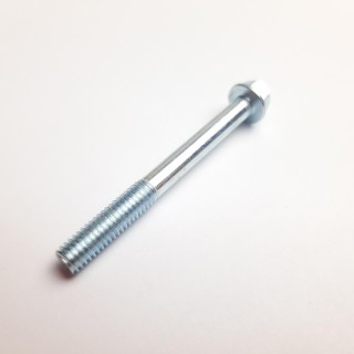 BOLT M6X55