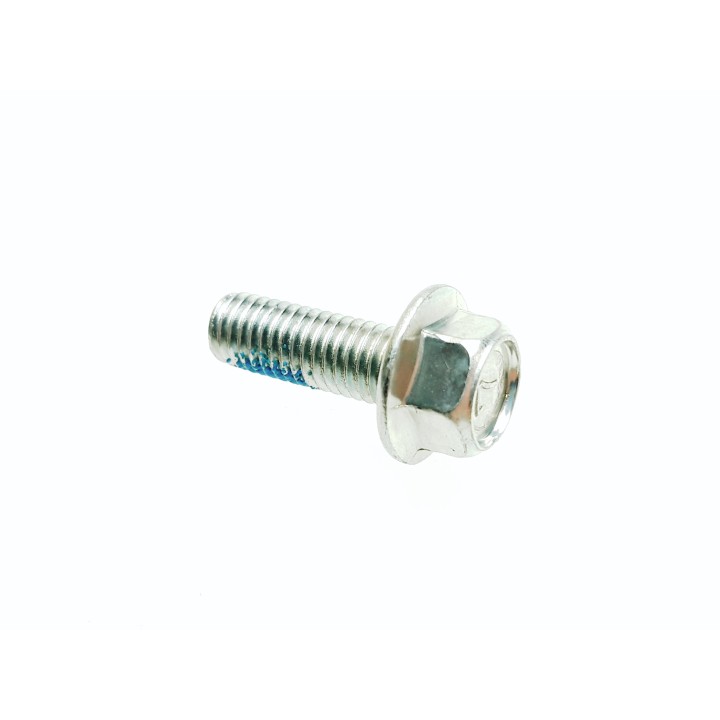 BOLT, FLANGE