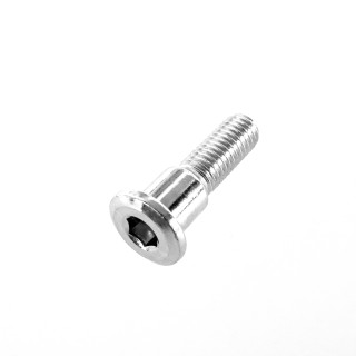BOLT,FRONT BRAKE DISC
