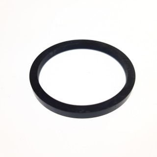 CALIPER SEAL