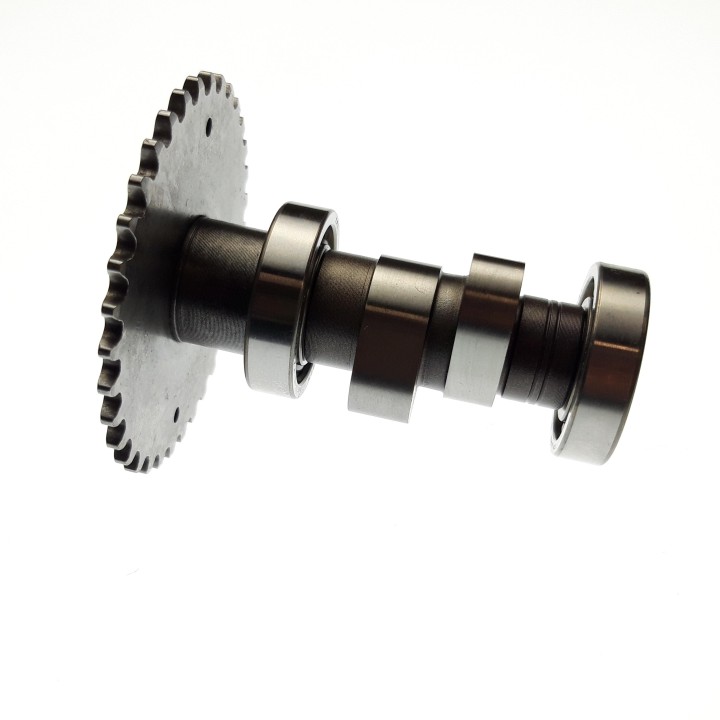 CAM SHAFT ASSY