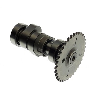 Cam shaft comp 300cc
