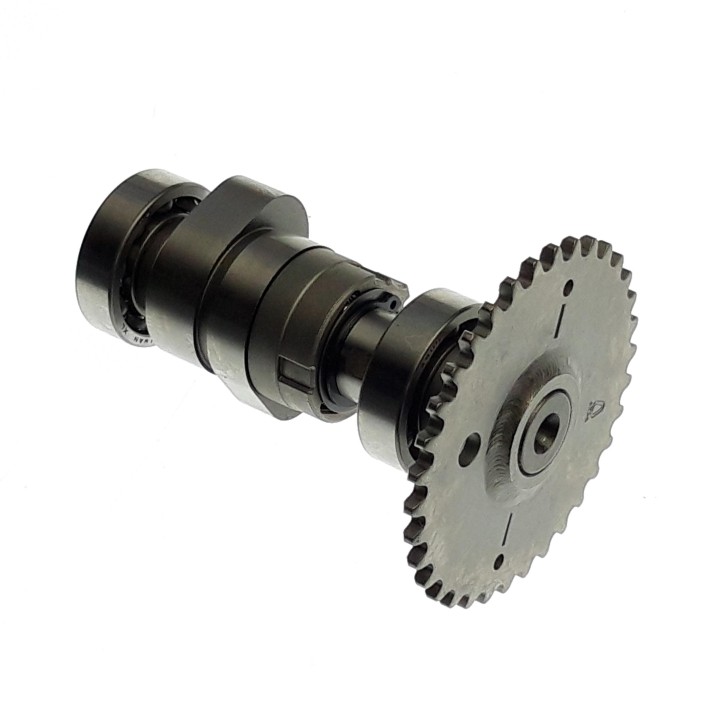 Cam shaft comp 300cc