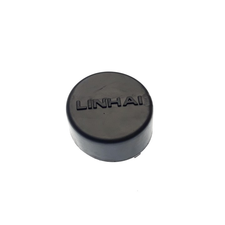 CAP SWINGARM PIVOT
