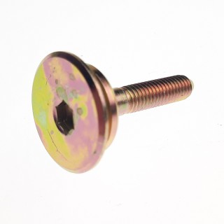 CHAIN TENSIONER PIVOT BOLT