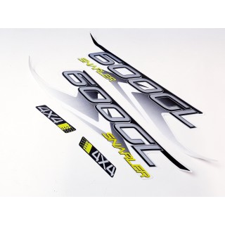 DECAL ASSY(600GL BLACK-GREEN)(LONG VEHICLE)