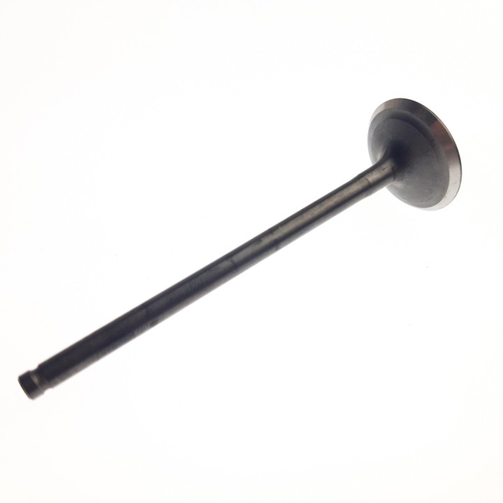 EXHAUST VALVE