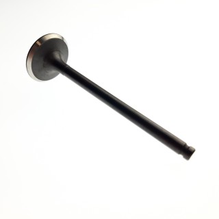 EXHAUST VALVE