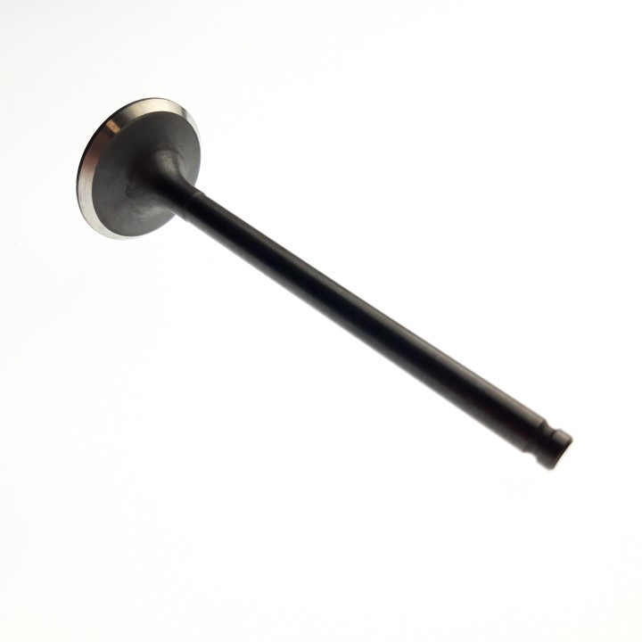 EXHAUST VALVE