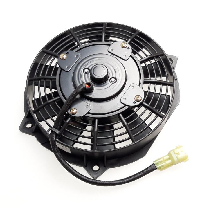 Fan