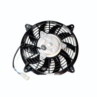 Fan