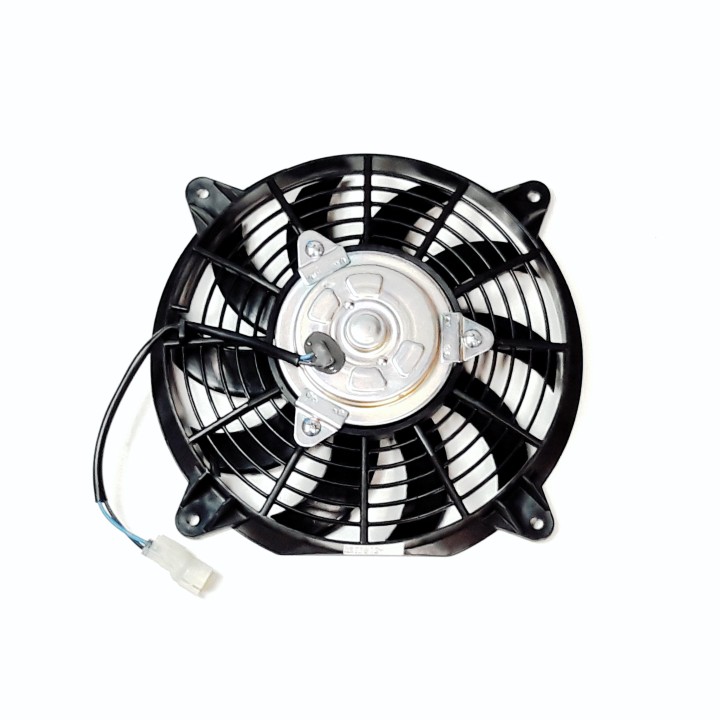 Fan