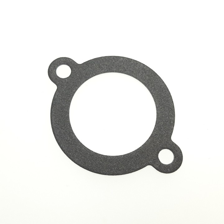 Gasket Thermostat