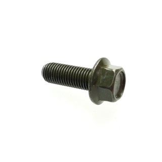 Hex Washer Face Bolt
