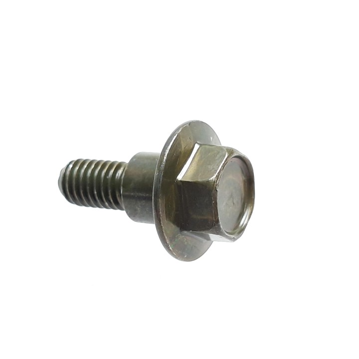Hex Washer Ladder Bolt