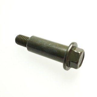 Hex Washer Ladder Bolt