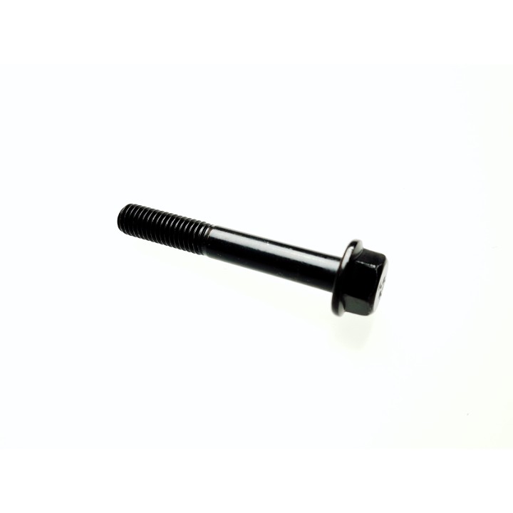 Hexagon Flange Bolt M8×1.25×55