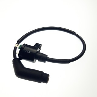 IGNITON COIL AND WIRE