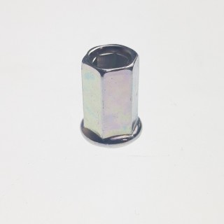 NUT CAP M6