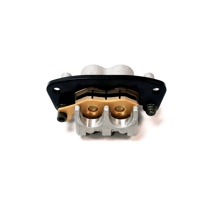 Rear Brake Caliper, LH