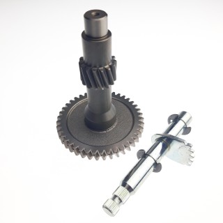 Reverse Gear Shaft Assembly