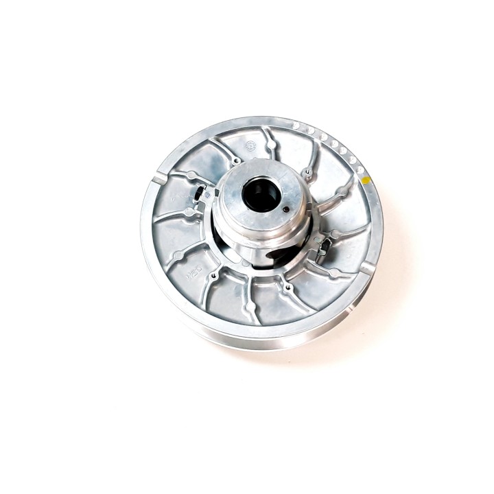 SECONDARY CLUTCH ASSEMBLY(HZ)