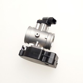 Throttle Body w/TPS