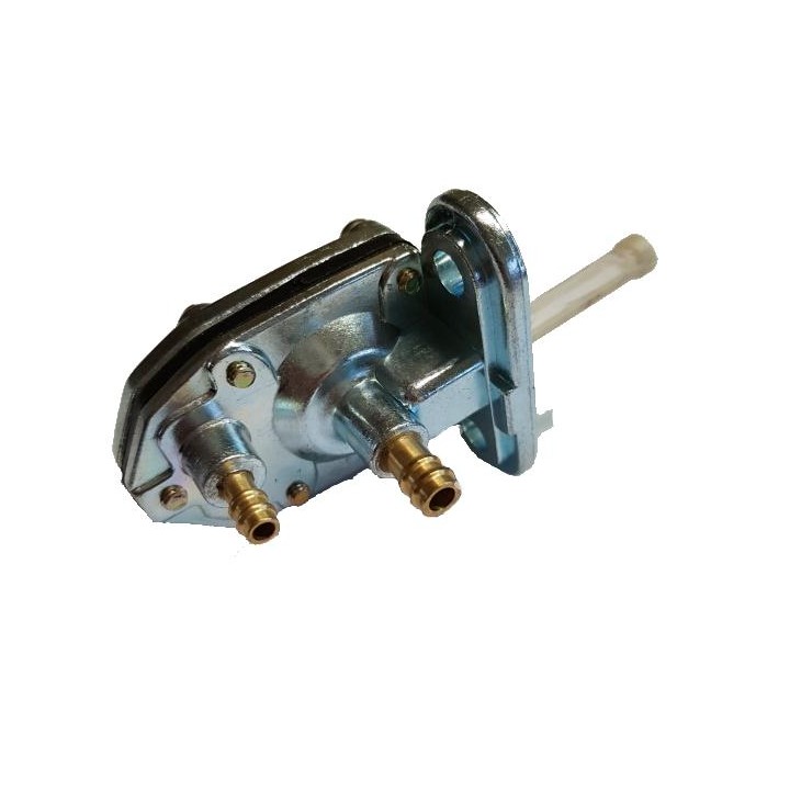 Valve, Fuel