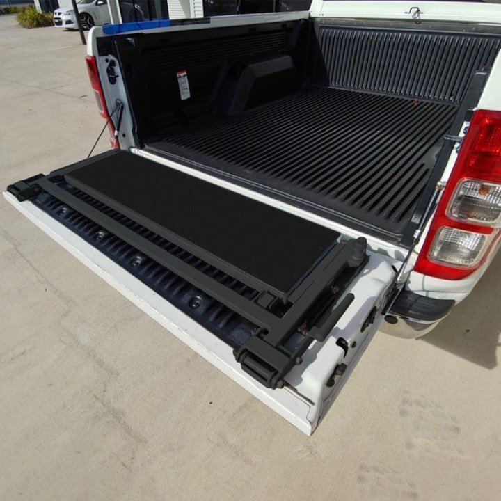 SDX Backstep universal side pick up step
