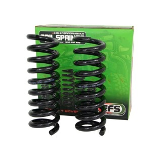 Sprężyna przednia EFS, lift 50 mm, +0-60 kg — Ford Ranger PXIII / Everest UAII EFS4WD