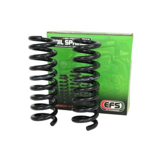 Sprężyna przednia EFS HD, lift 50 mm, +65-120 kg — Ford Ranger PXIII / Everest UAII EFS4WD