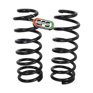 Sprężyny tylne EFS, lift 45 mm, obciążenie 150-250 kg — Nissan Navara D23 / NP300 (komplet) EFS4WD - ujęcie 2