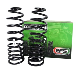 Sprężyny tylne EFS Heavy Duty, lift 50 mm, komplet — Jeep Gladiator JT od 2020 EFS4WD