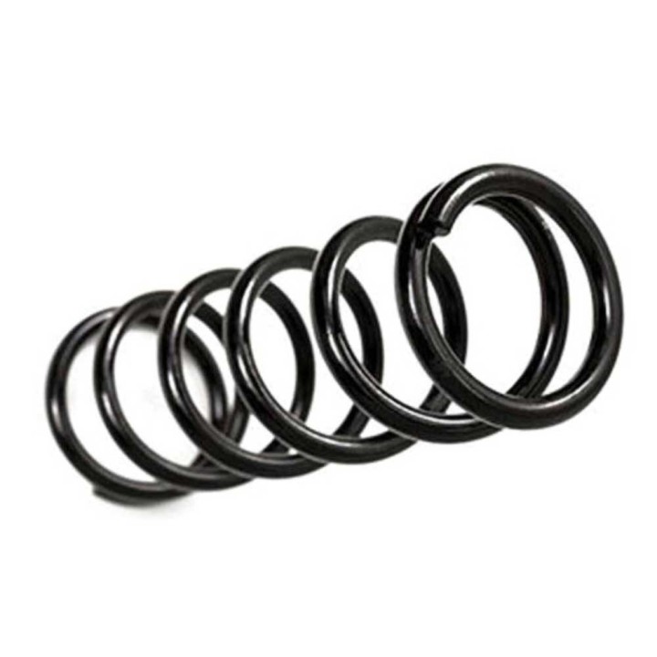 Sprężyny tył BDS Lift 3,5" do Grand Cherokee WJ/WG