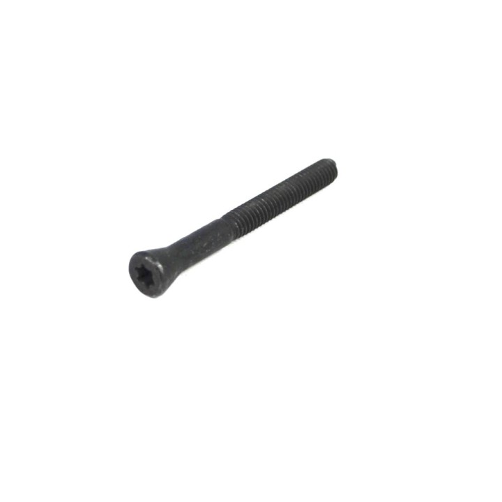 Śruba TORX pokrywy sprzęgiełka piasty AVM 40 mm stalowa