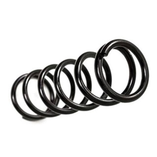 Sprężyny tył BDS Pro-Ride Lift 3"
