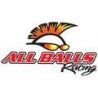 All Balls Racing